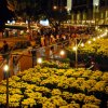 Chợ hoa xuân được trưng bày theo đường cong dọc bờ hồ Bán Nguyệt (Q.7)