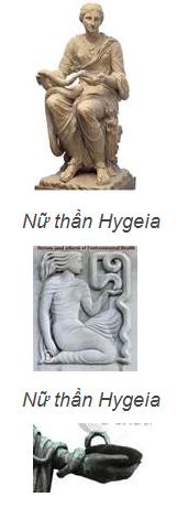 y nuthan hygeia all