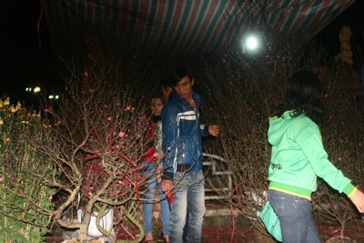 hoatet 1