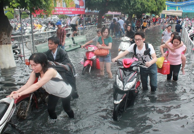 saigon ngapnuoc