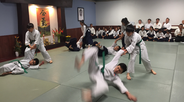 aikido 2