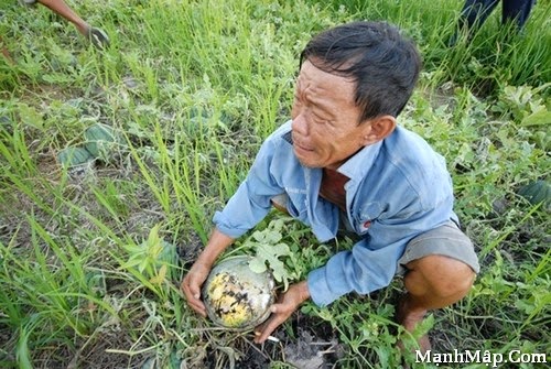 mh-noi-long-nong-dan