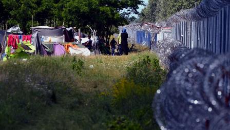 hungary-serbia- border