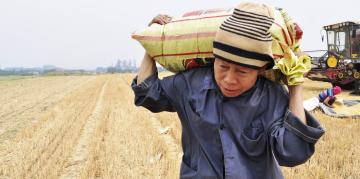 china farmer