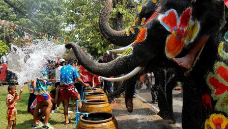 thailand-festival-elephants