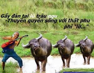 mh-dung-doi