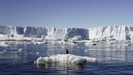 ANTARCTIC-ENVIRONMENT