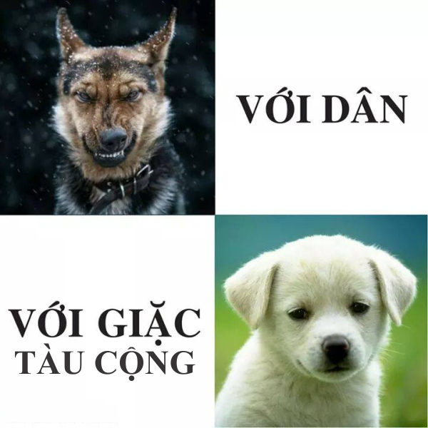 hen voi_giac