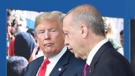 Erdogan Trump