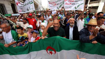 algeria protests 2