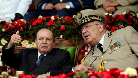 bouteflika salah