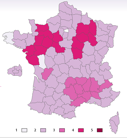 carte bise france refait