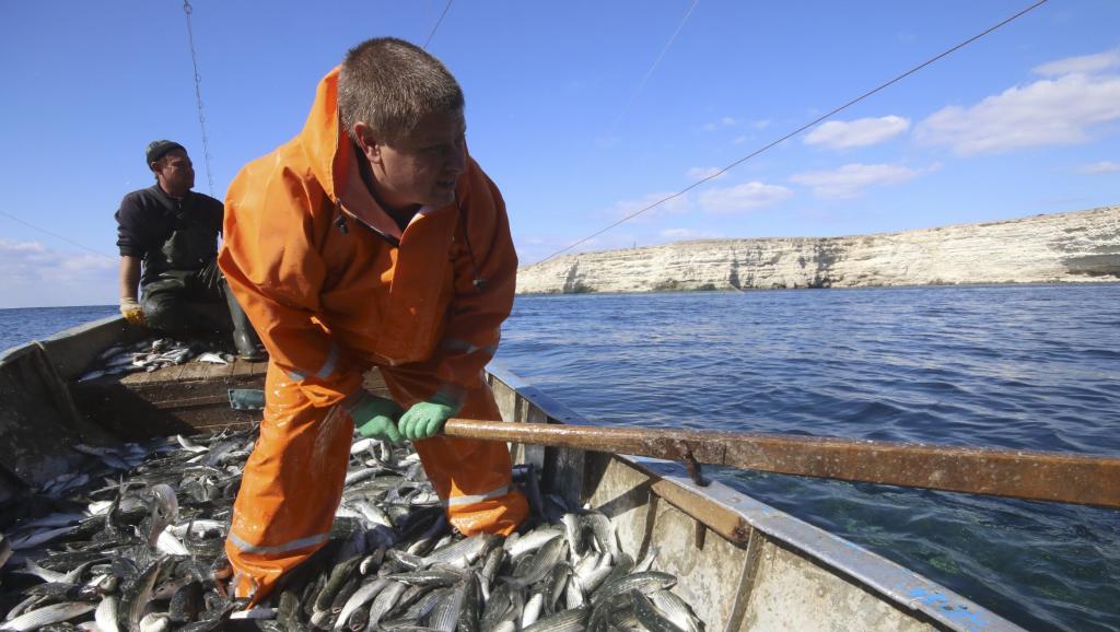 crimea-business-fishing