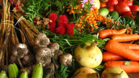 ecologically grown vegetables