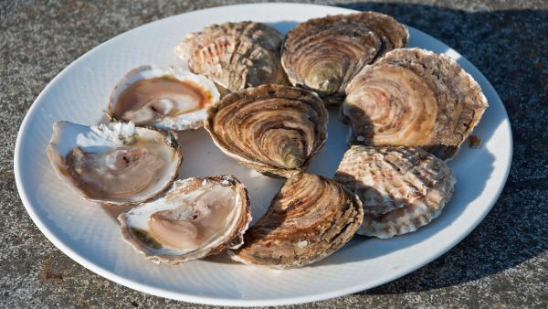 huitres cancale