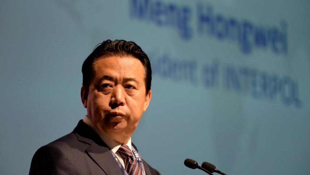 Manh hoang Vi