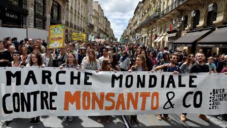Monsanto - Bordeaux
