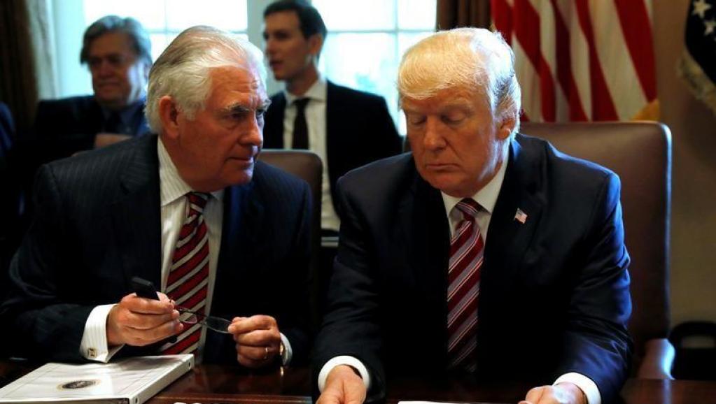 Rex Trump