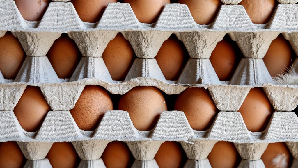 europe-eggs