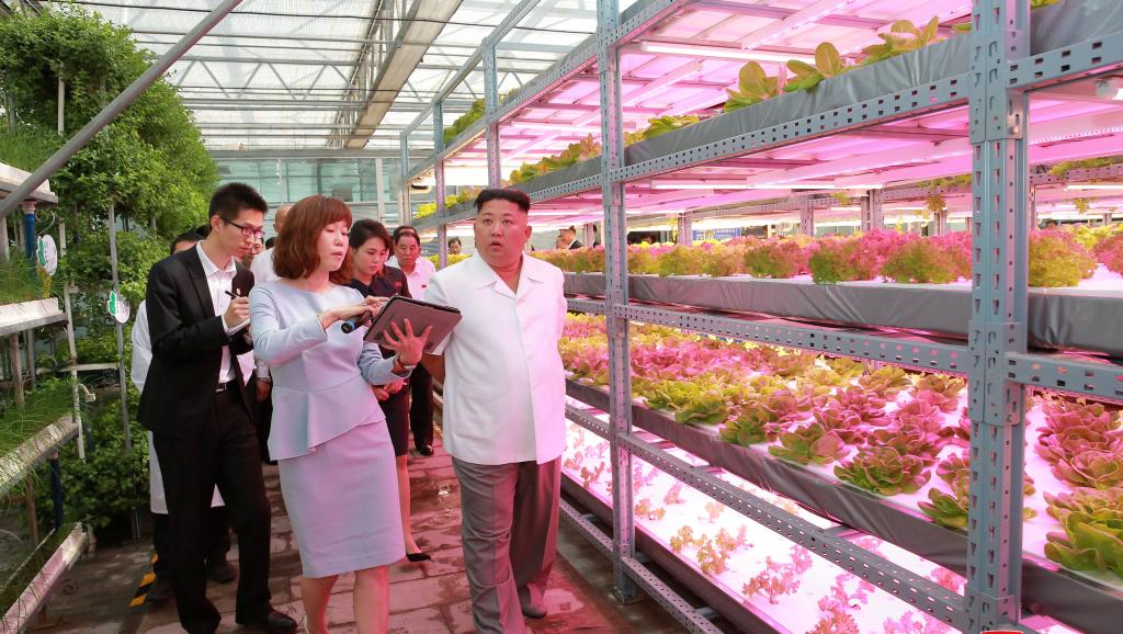 northkorea-usa-china