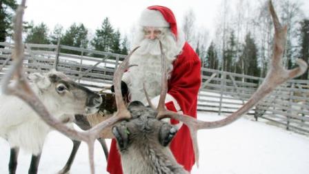 climatechange-reindeer