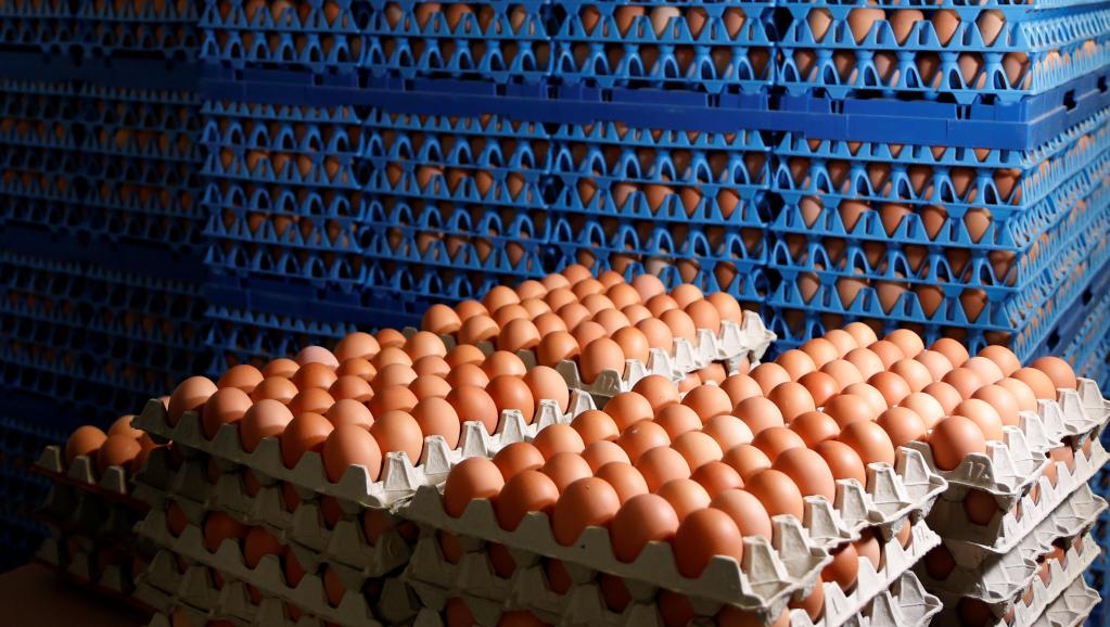 europe-eggs 4