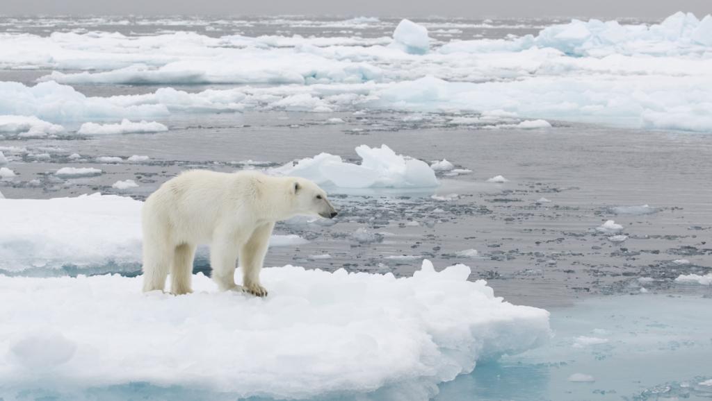Northpole