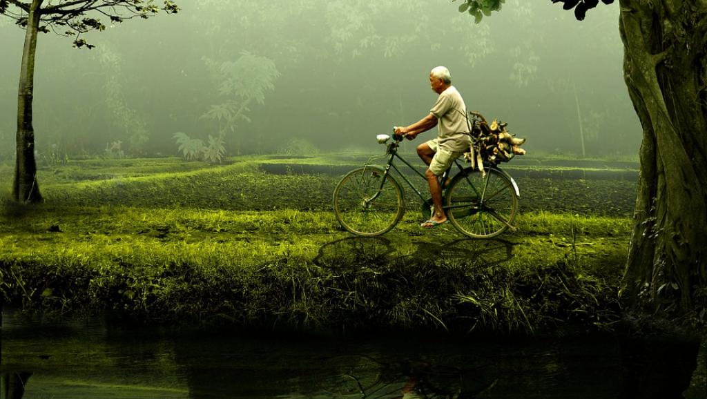 homme et nature
