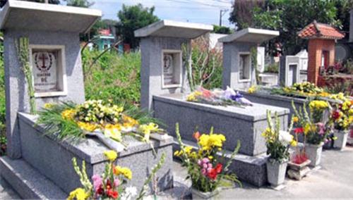 Phan mo ho Ngo