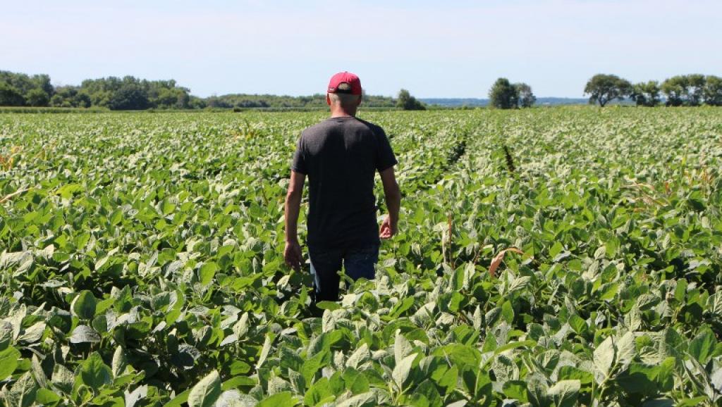 Illinois- Farm