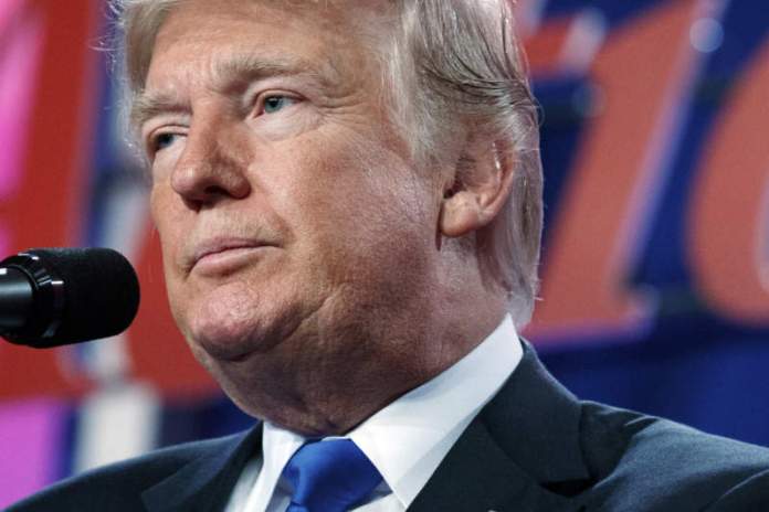 trump-y te