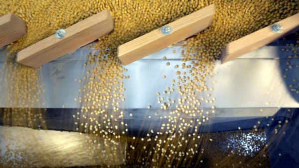 usa-trade-china-soybeans