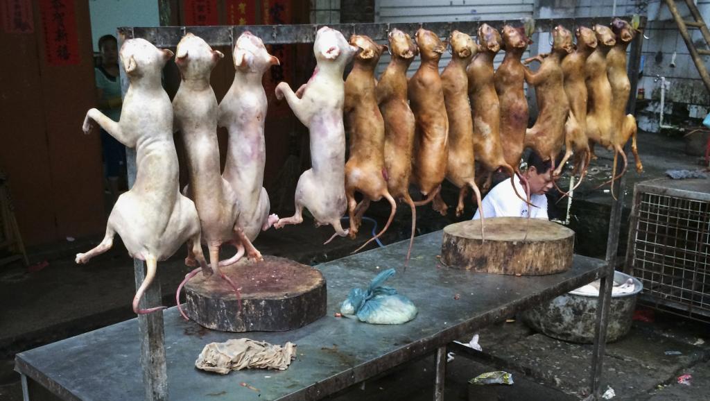 yulin chine -thit cho