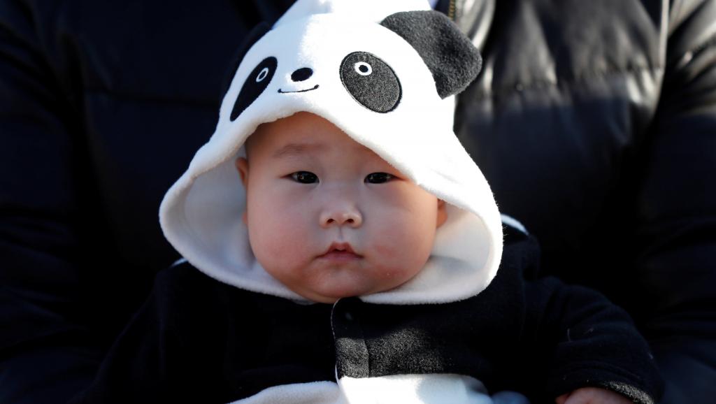 japan-panda