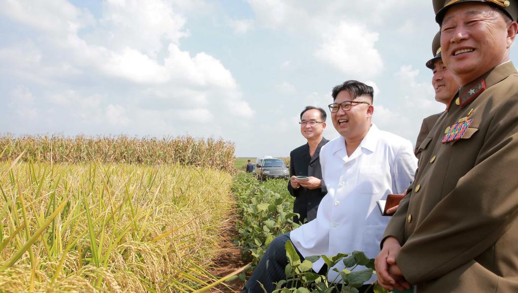 northkorea-missiles-grains