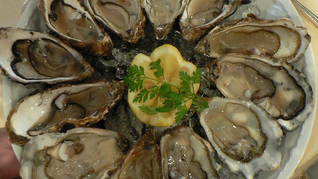 oysters in circle on plate