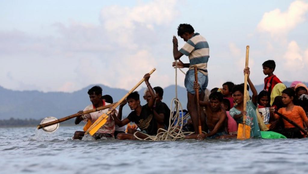 rohingya naf